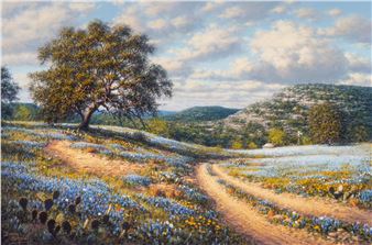 Texas Regulars - Dennis Schmidt