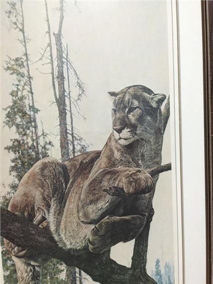 George Elson McLean | George McLean Cougar Print | MutualArt