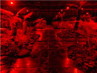 Julian Charrière: Panchronic Gardens - Perrotin, Paris (Saint Claude)