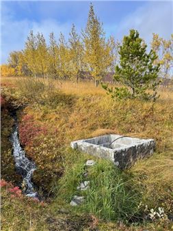 Gryfja : 1+1+1 - Ásmundarsalur