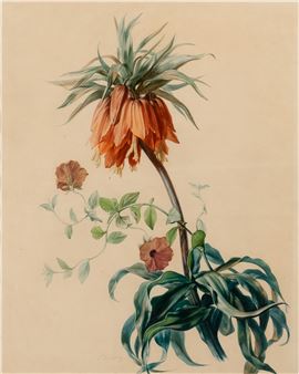 Simon Saint-Jean - Simon Saint-Jean