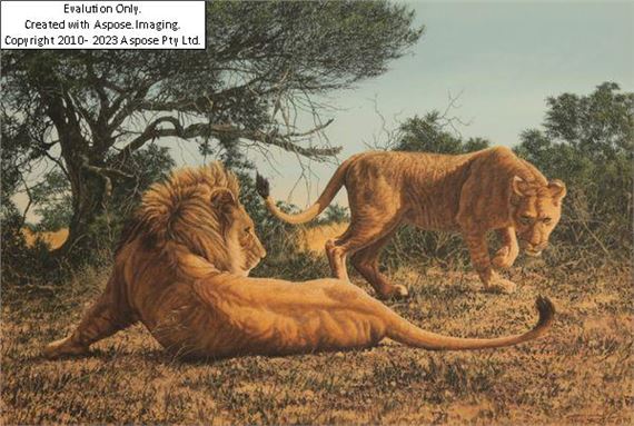 Tony Ribton | Study of a Lion and Lioness in a landscape | MutualArt