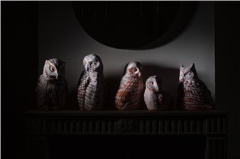 Myungjin Kim: Owls Court - Galerie Lefebvre & Fils