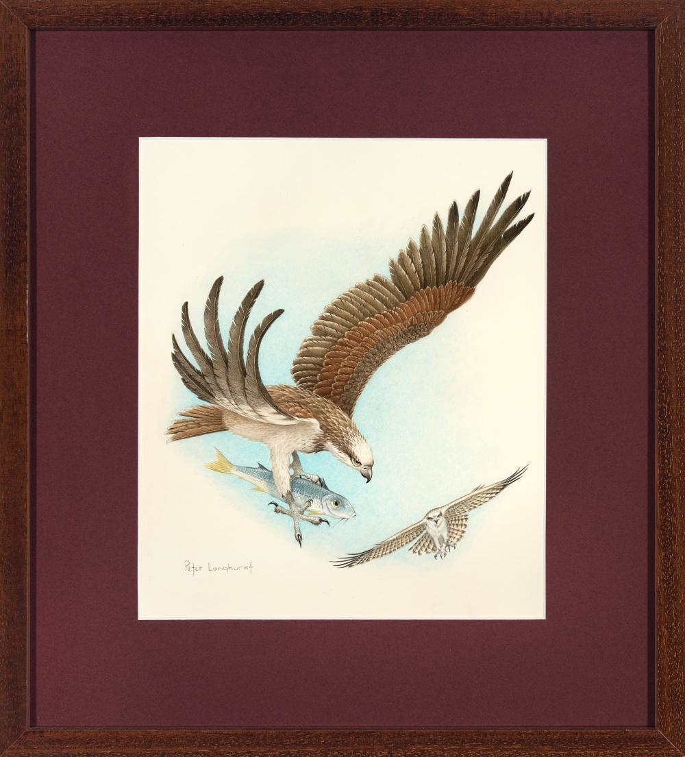 Peter Longhurst | (2 works) - Letter Winged Kites and Australian ...