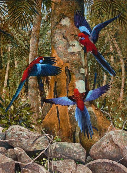 Crimson Rosellas by Mike Nicholas
