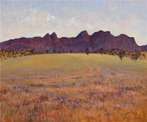 Flinders Ranges by David Armfield