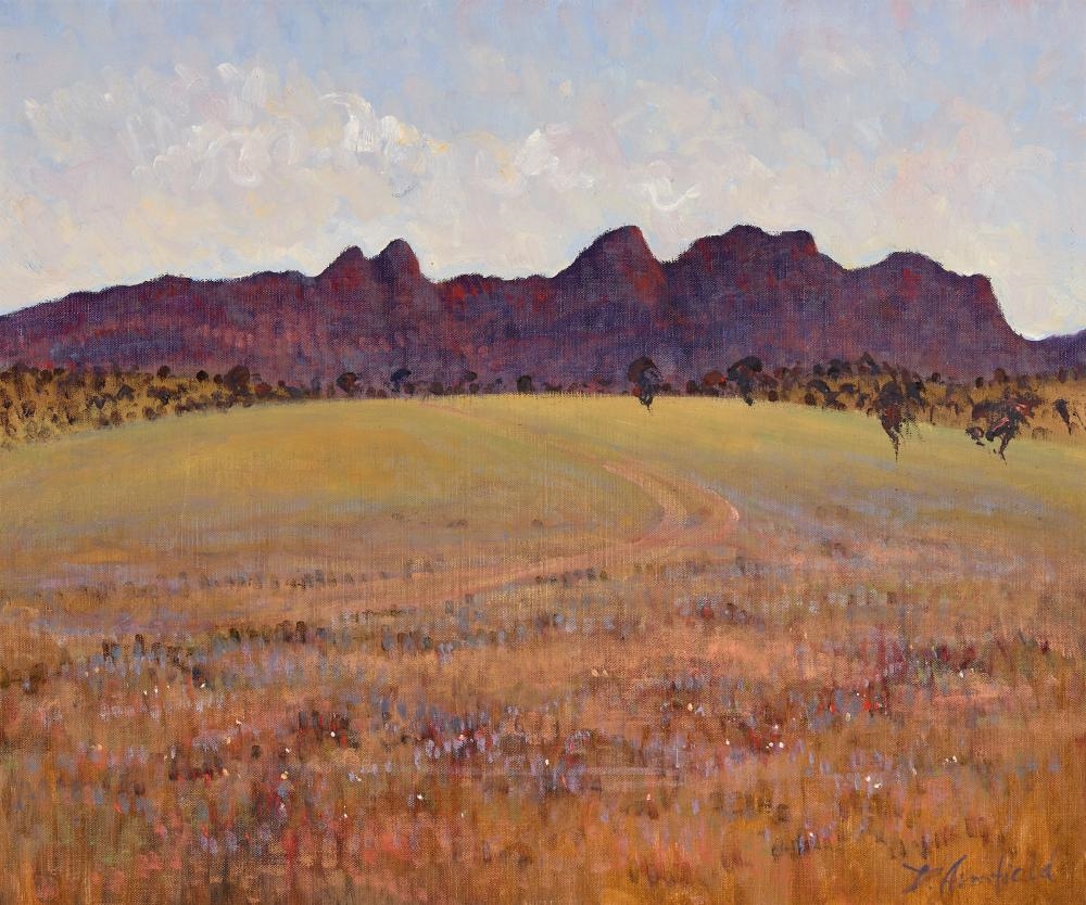 Artwork by David Armfield, Flinders Ranges, Made of oil on canvas