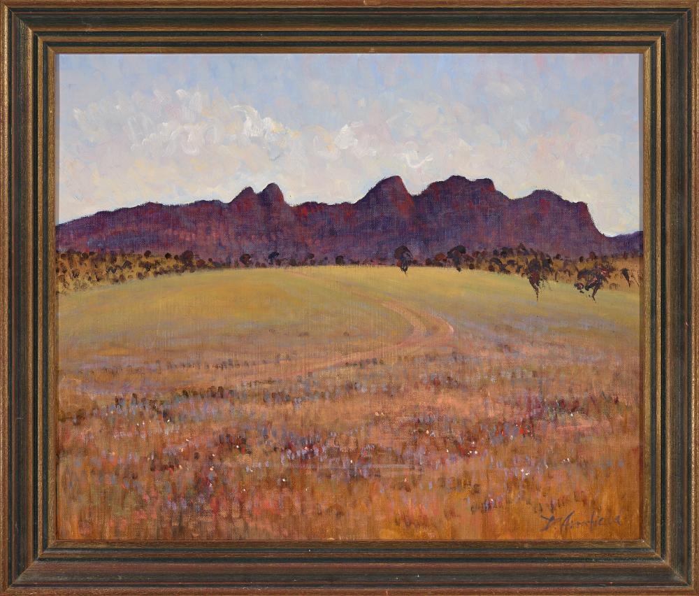 Artwork by David Armfield, Flinders Ranges, Made of oil on canvas