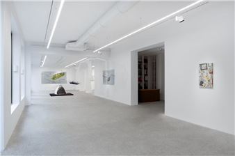 Michel François: Feuilles, Flaques, Anneaux Et Sédiments - Galerie Kamel Mennour, Paris (rue du Pont de Lodi)