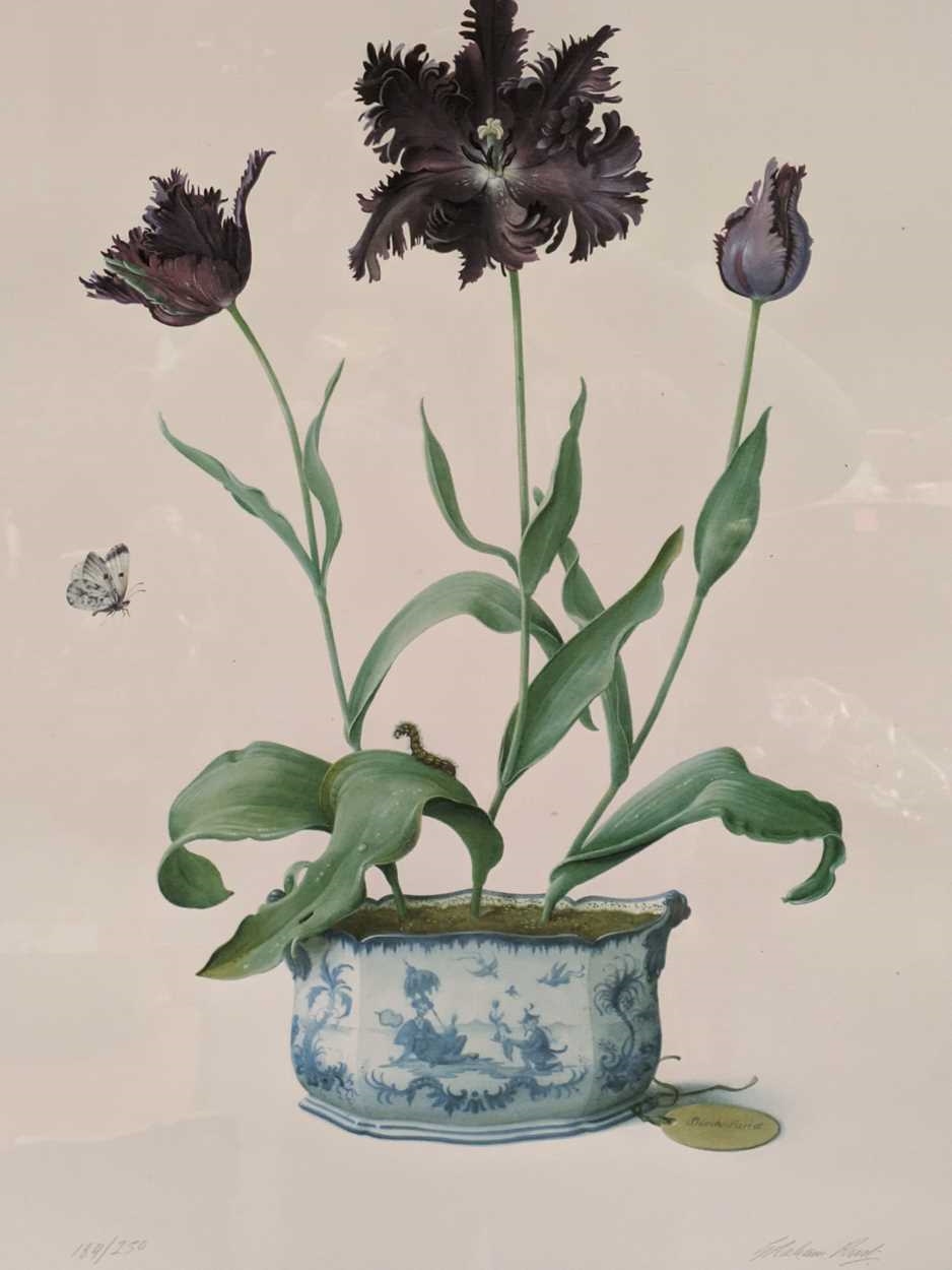 Graham Rust | Graham Rust (b. 1942 | MutualArt