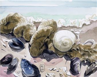 Shells at Vama Veche - Anamaria Smigelschi