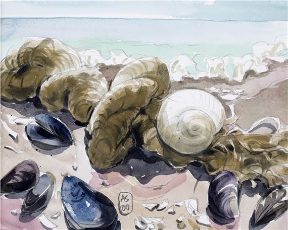 Shells at Vama Veche - Anamaria Smigelschi