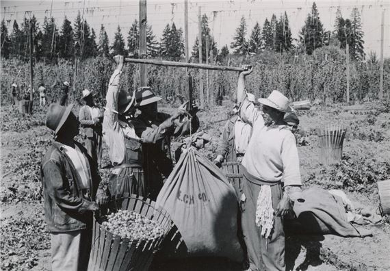 Harvesting Mobility: Bracero Migration, Labor & Life in California, 1942-1964 - The de Saisset Museum, Santa Clara University