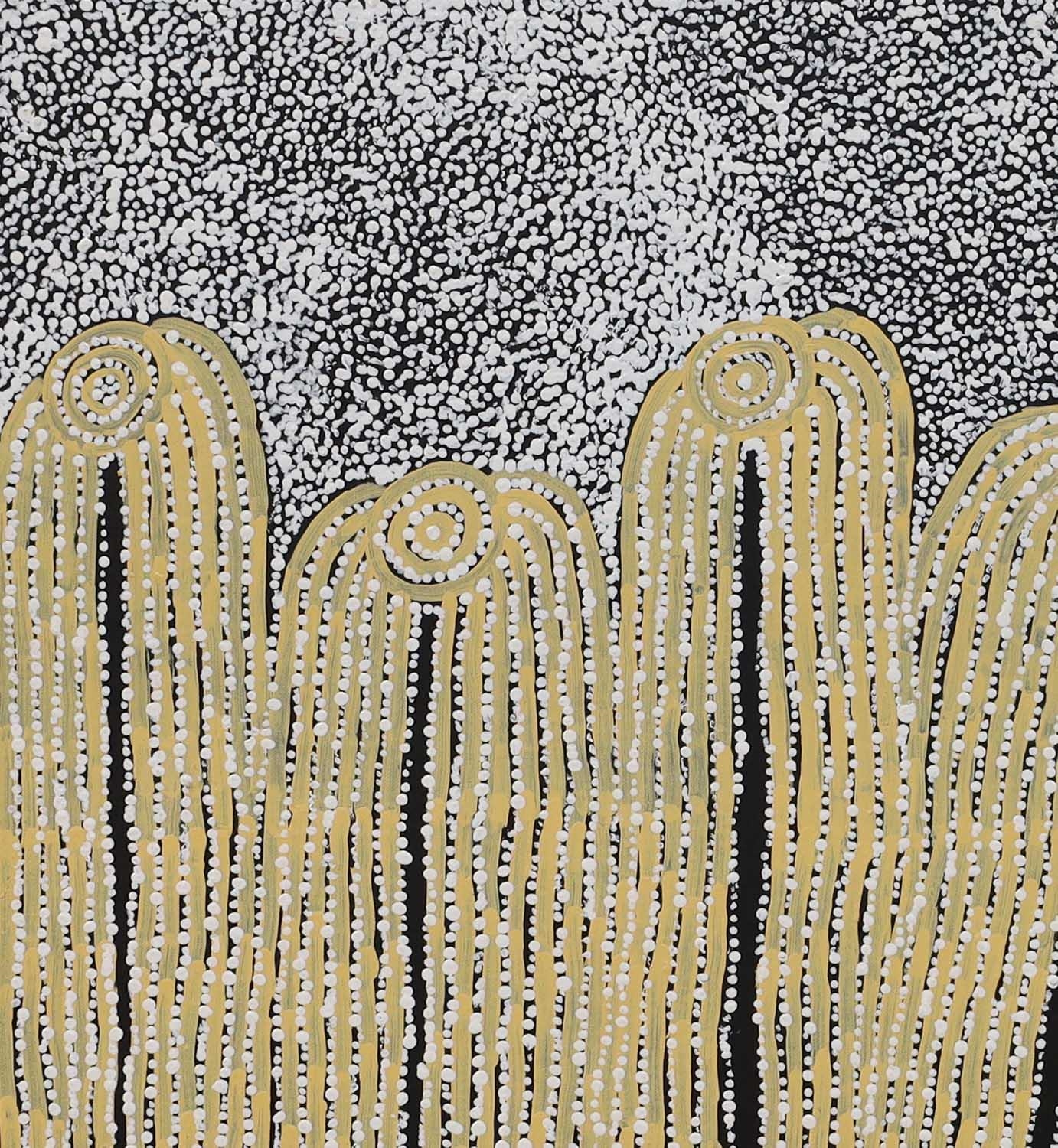 Artwork by Glenys Gibson Napaltjarri, Women's Ceremony, Made of Acrylic on linen
