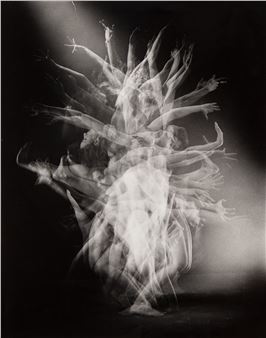 Daisy - Andrzej Swietlik