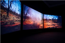 Exhibiting Elemental Truths in the Perth Festival: Polarity: Fire & Ice and Wetland