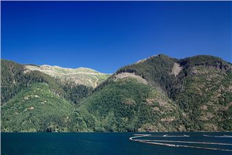 Major Exhibition Opens Featuring Stan Douglas, Ian Wallace, Jin-Me Yoon and More