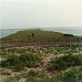 Foundlings, 2002 - Orla Barry