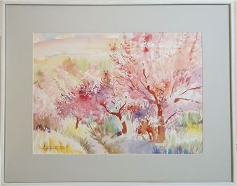 Spring. Apricot blossoms - Anatoly Borodkin