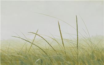 Dune Mist - Kib Bramhall