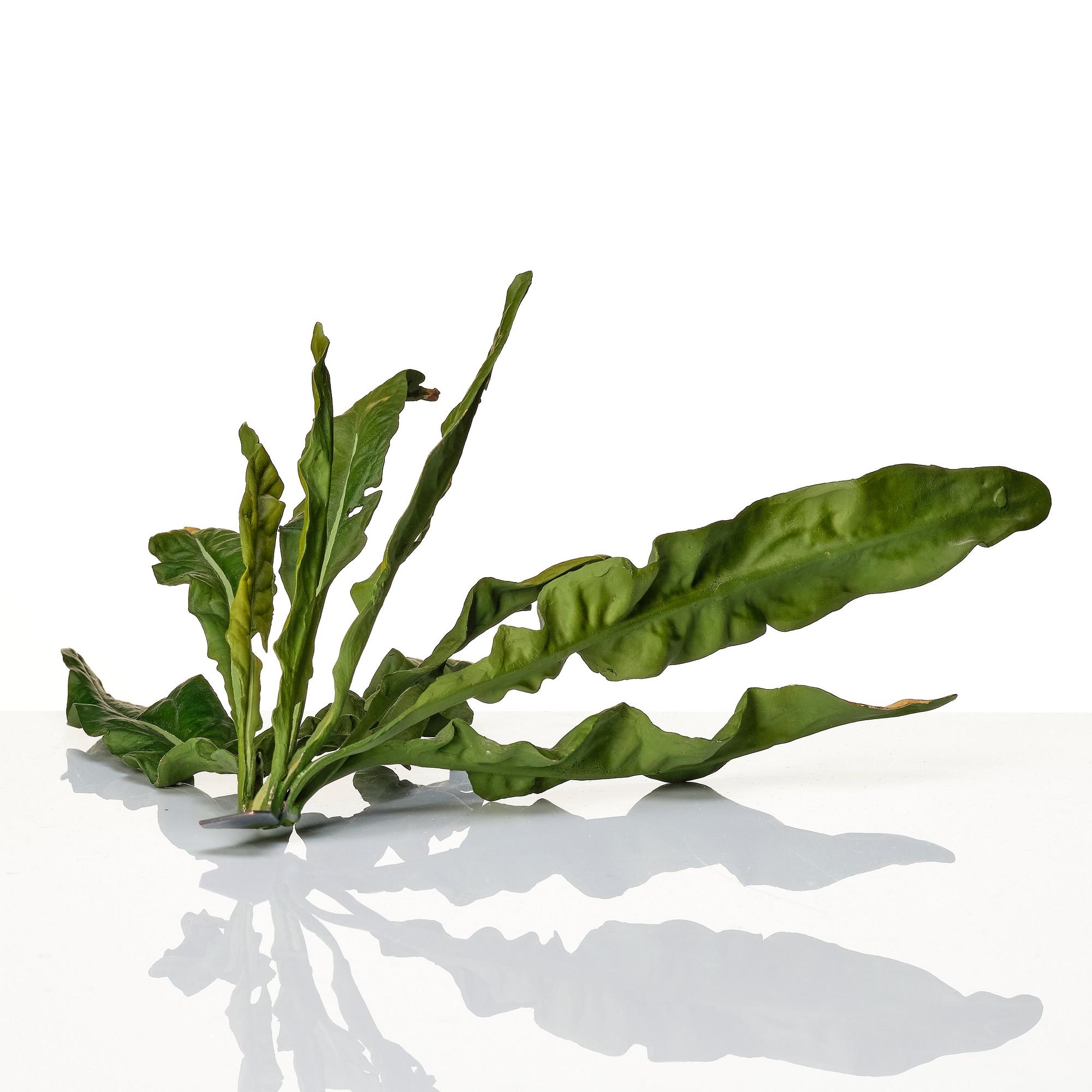 Tony Matelli | 'Weed #65' (2008) | MutualArt