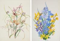 SPIDER ORCHIDS AND BLUE FLOWERS (DIPTYCH - Nerelie Derbyshire