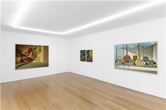 Chen Wei: Fractured Chapters - Galerie Rüdiger Schöttle