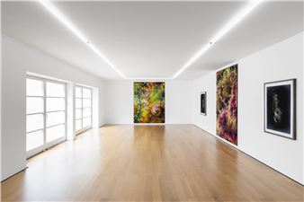 Thomas Ruff: New work - Galerie Rüdiger Schöttle