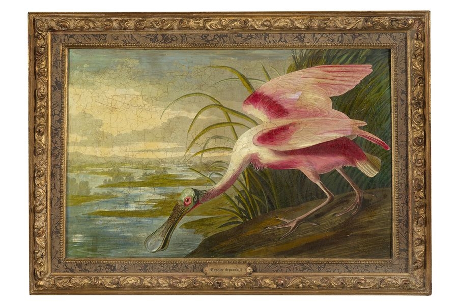Private collection from Lyon. (Sold unframed) - John James Audubon