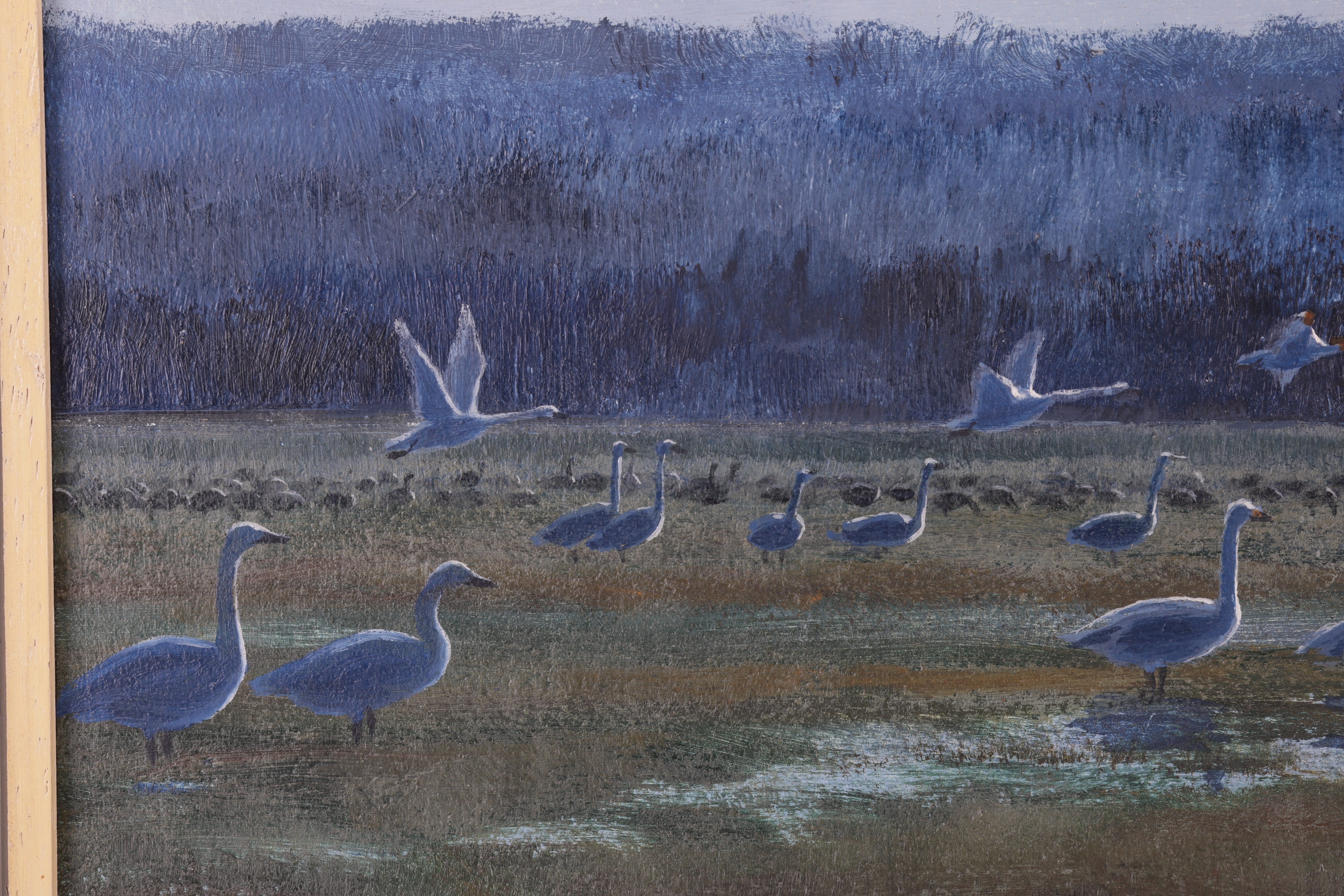 Peter Markham Scott | Whooper swans over Marshes (1969) | MutualArt