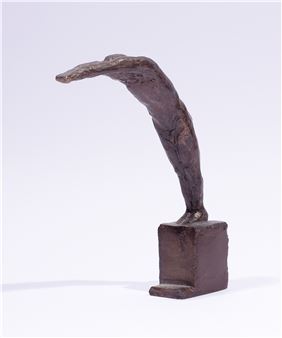 Skok do vody, nedatováno - Jan Zelenka