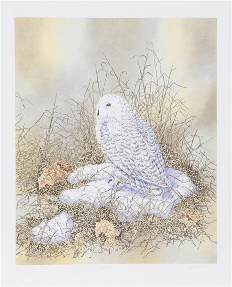 SNOW OWL by Chris Forrest, 1980