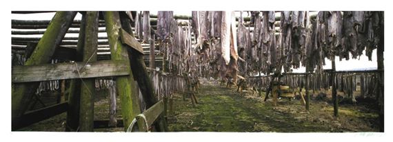 Singer Jonathan | ICELAND - FISH DRYING RACKS (2013) | Compare similar ...