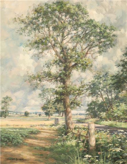 William Binnie | A View Looking East Near Old Downie and Carlungie ...