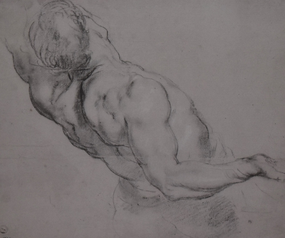 'Study of a Male Torso' - Peter Paul Rubens