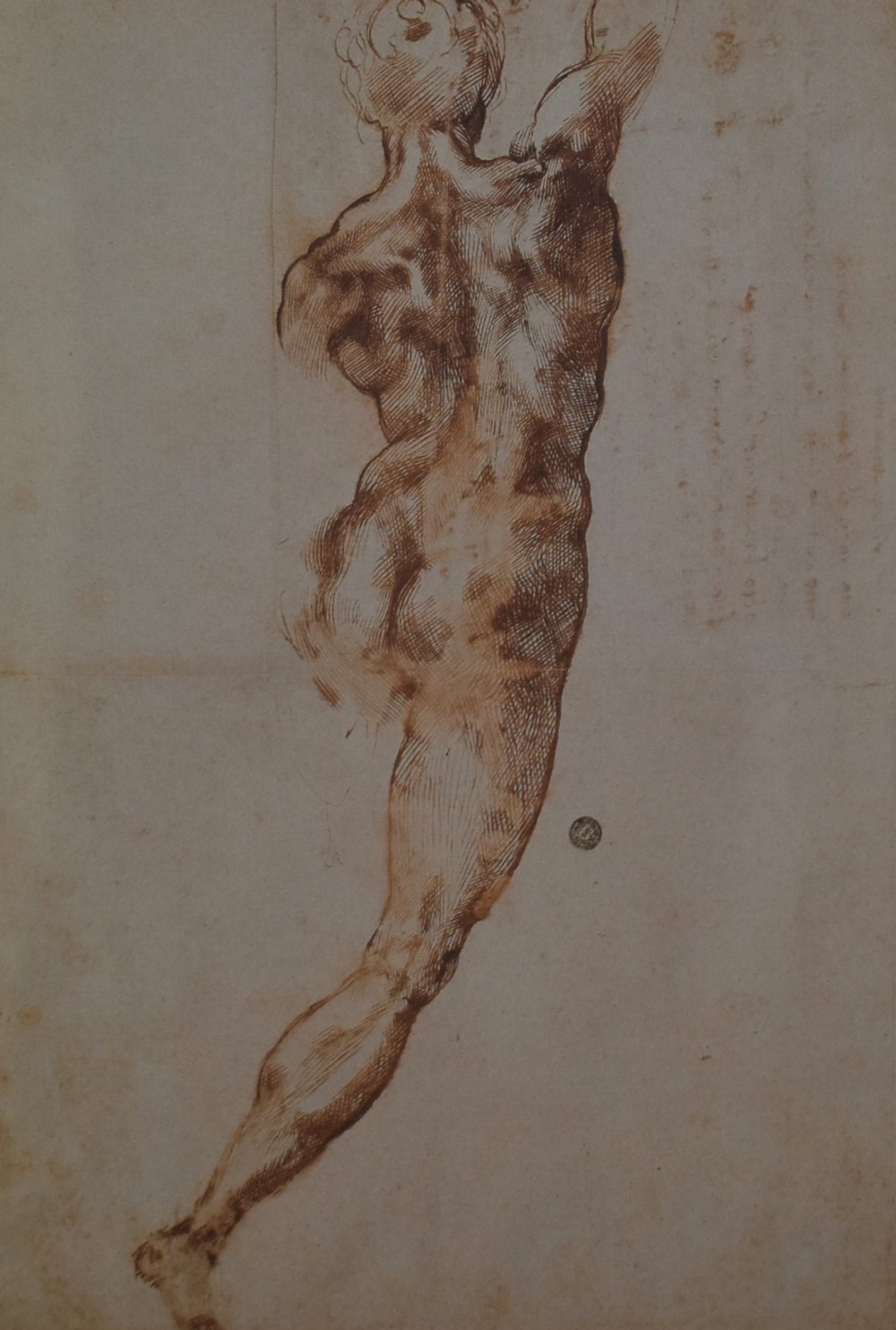 'Nude Study for the - Michelangelo