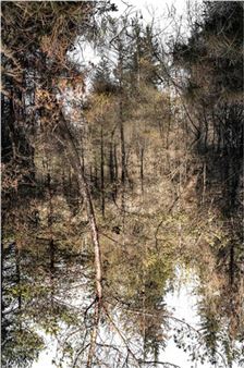 Manuel Heyer: Fotografie - Galerie Michael Heufelder