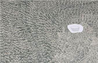 Eri Morimoto: Contour map# -from the beginning - Gallery Yamaki Fine Art