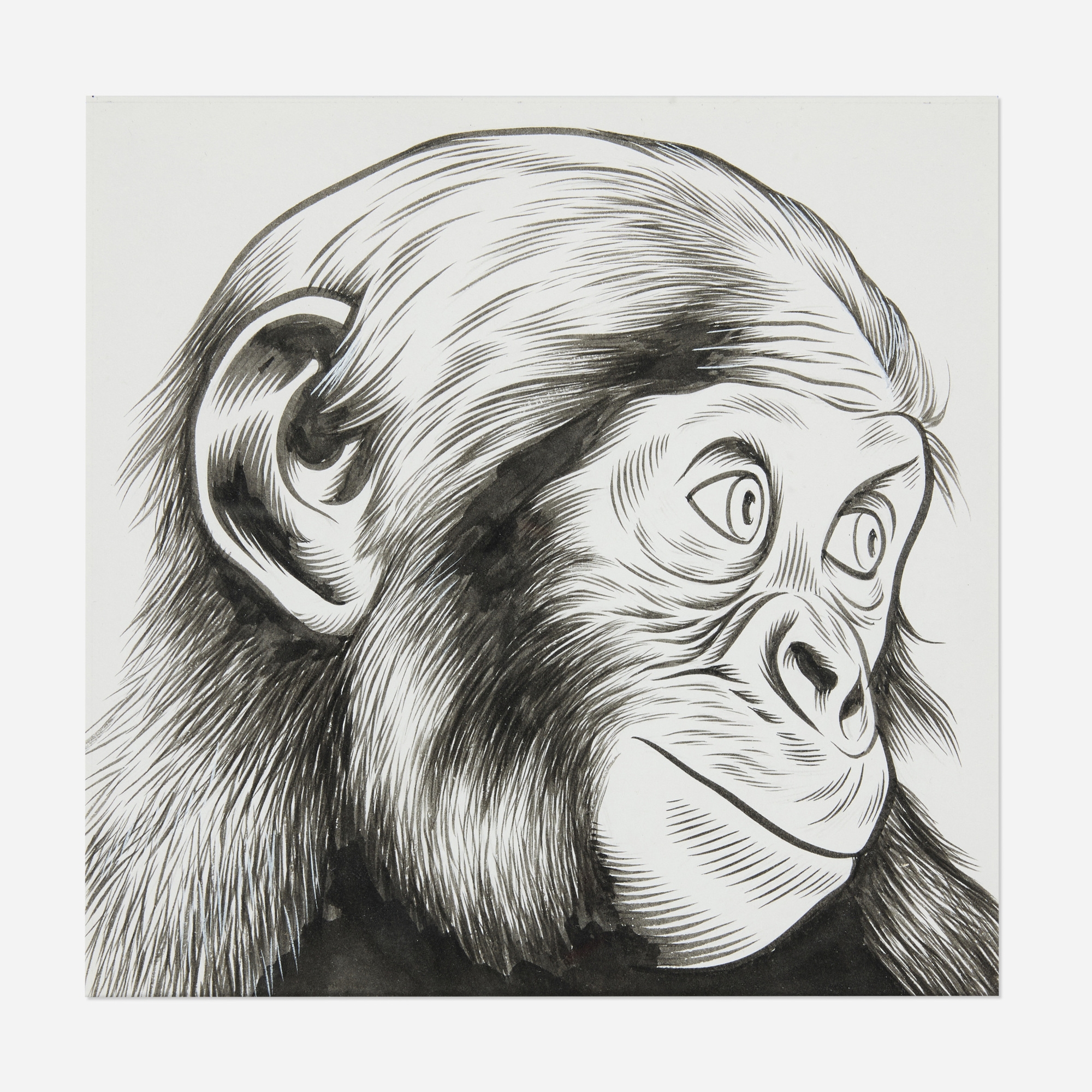 A Bonobo - Charles Burns