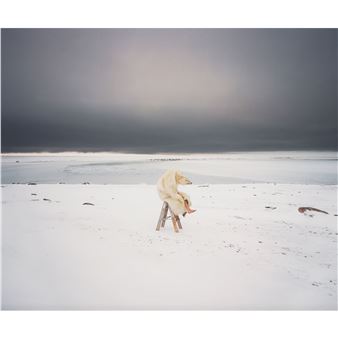 POLAR BEAR, FROM "IGLOOLIK," 2007-2008 (FROM THE CONTACT PHOTOGRAPHY COLLECTION - Scarlett Hooft Graafland