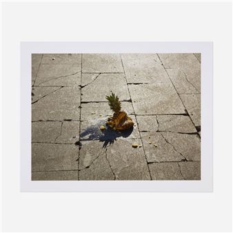 Untitled (Pineapple - Alec Soth