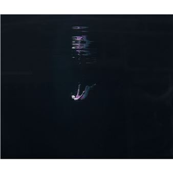 DESCENT, 2003 (FROM THE CONTACT PHOTOGRAPHY COLLECTION - Jason Sanchez