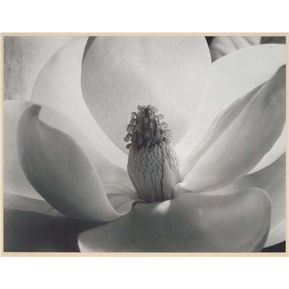 MAGNOLIA BLOSSOM, 1925