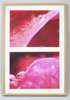 Reunion of four digital prints on paper in three frames - Hubert Theler