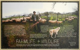 After Douglas Gayeton - Douglas Gayeton