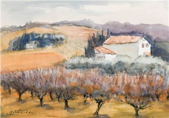 Abricotiers... - Lot - Nicolas Sollogoub