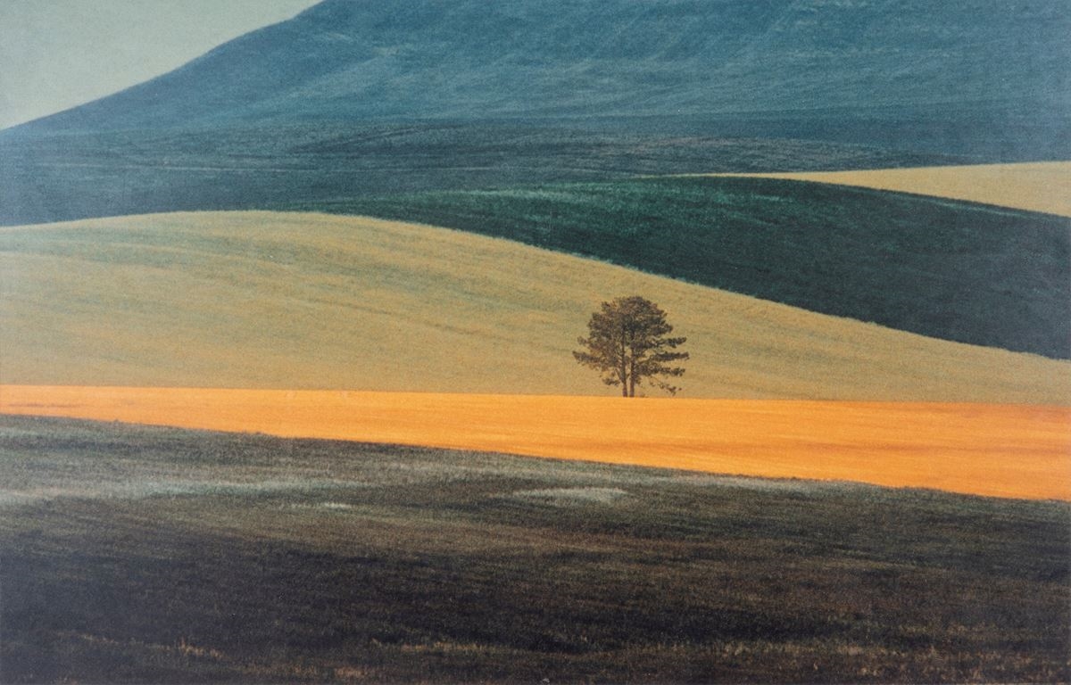 Basilicata landscape, 1978 - Franco Fontana