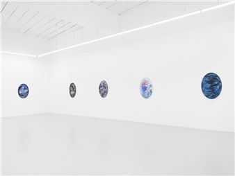 Shaun McDowell: Opera in Nine Orbits - Hannah Barry Gallery