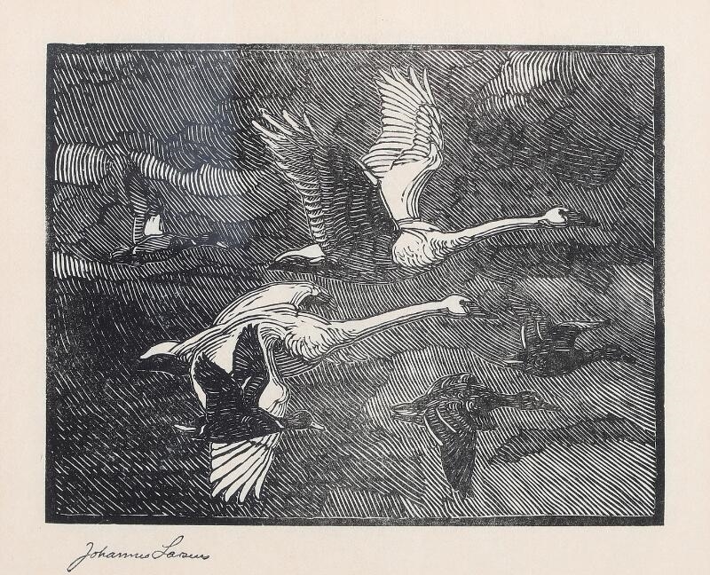 Flying swans - Johannes Larsen