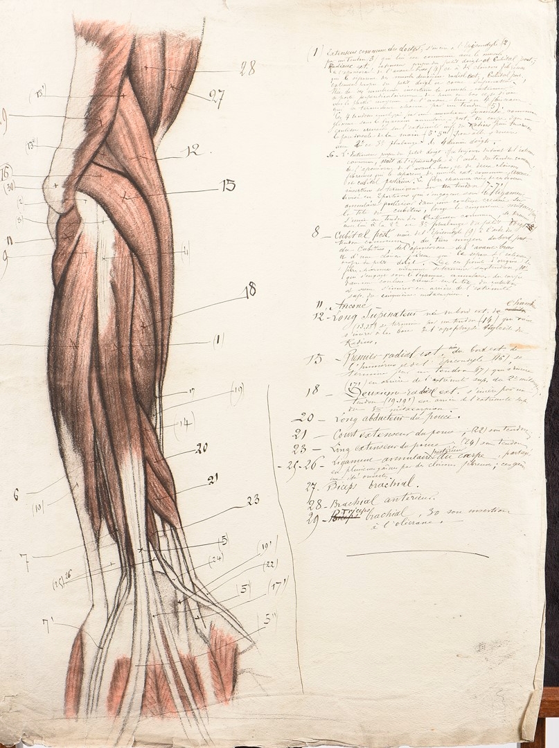 French School, 19th Century | Suite de onze planches de dessins d ...